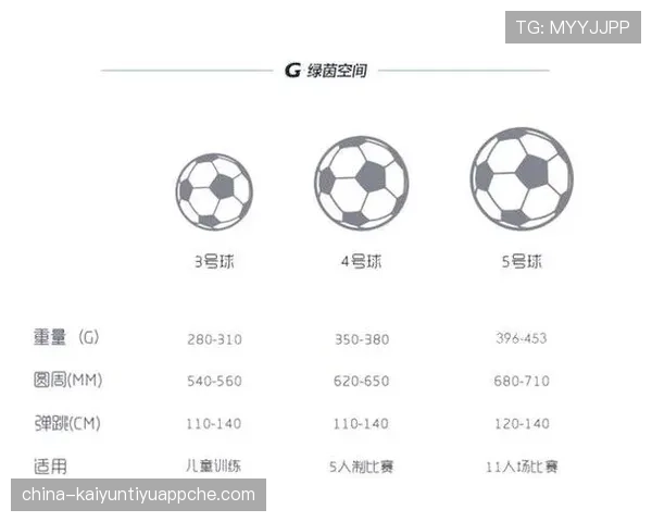 足球比赛球场尺寸规则及其对比赛公平性的影响解析
